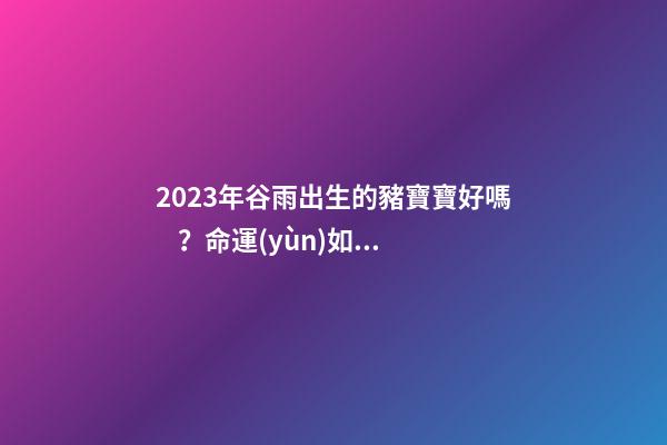 2023年谷雨出生的豬寶寶好嗎？命運(yùn)如何？